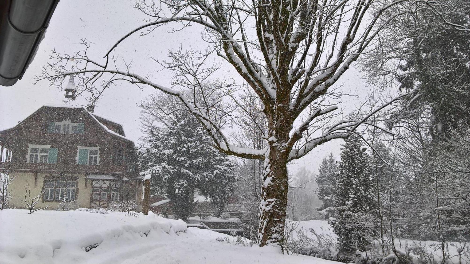 Wohnen Am See Villa Schroetter Direkt Am Traunsee Rindbach Esterno foto