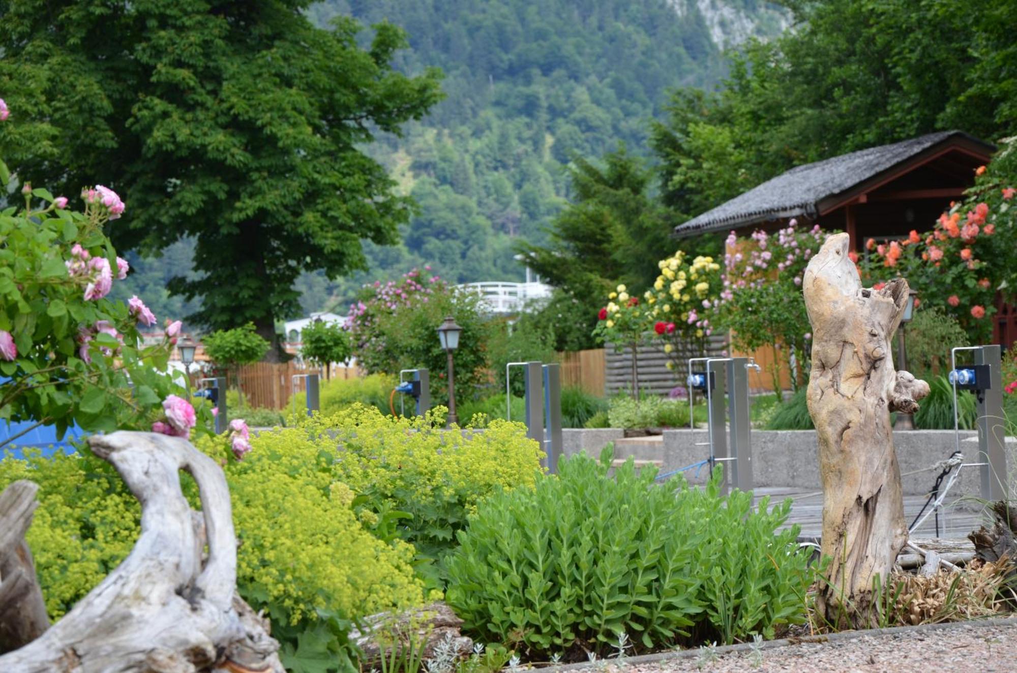 Wohnen Am See Villa Schroetter Direkt Am Traunsee Rindbach Esterno foto